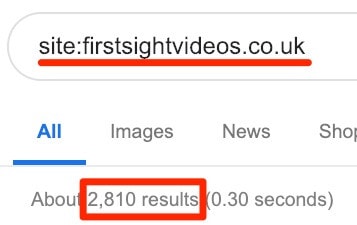 Search results for a site search to see if your site is indexed by Google.