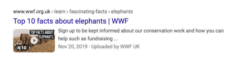 A thumbnail for a YouTube video on a Google search engine results page.