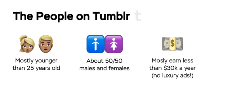 Tumblr users are mostly younger than 25, evenly split between female and male, and mostly earn less than 30k per year.