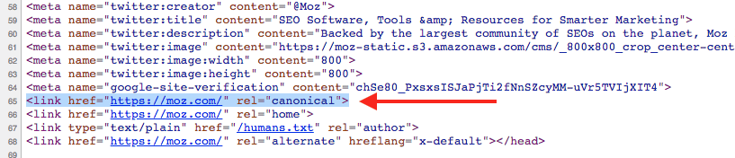 Example of a canonical tag used to create an SEO PDF