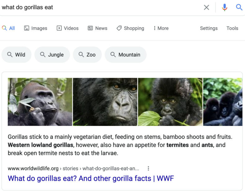 An example of how to optimize SEO copywriting for the featured snippet.