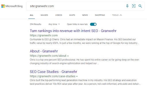 An example of a SERP for a Bing site search.