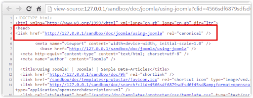 The image shows how to add a cononical tag. 