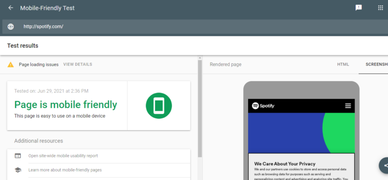 The screenshot shows an example of a Google mobile friendly test. 