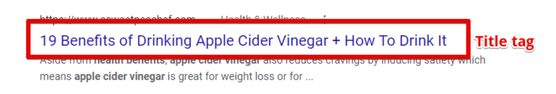 A title tag on a search engine results page. 