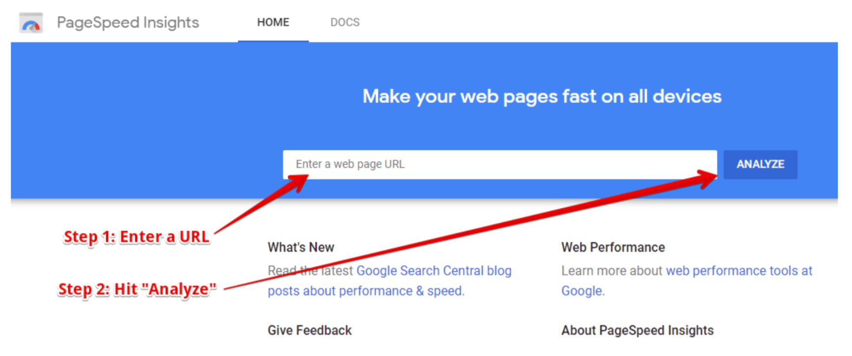 How to insert your URL and analyze it in Google Pagespeed insights.